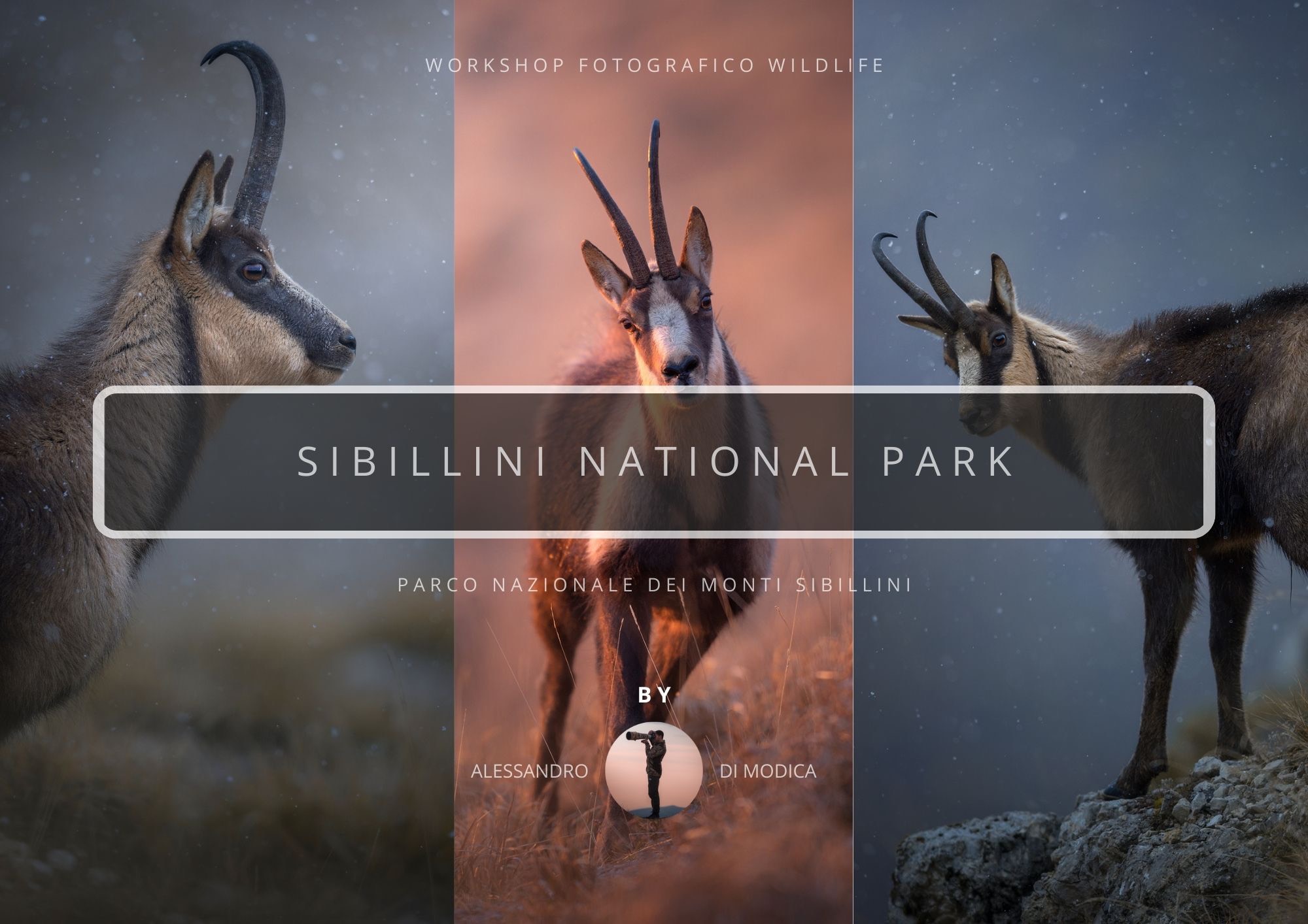 SIBILLINI MOUNTAINS NATIONAL PARK 21-23 NOVEMBER 2025